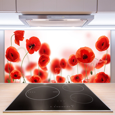 Panel Szklany do Kuchni Czerwone Maki W Polu