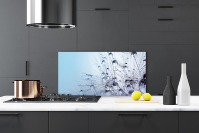 Panel Szklany do Kuchni Puszysta Kula Mniszka