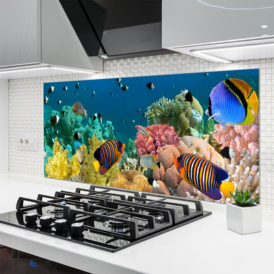 Panel Kuchenny Podwodny Świat Rafy