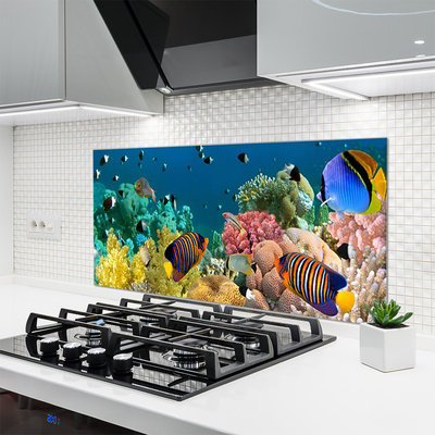 Panel Kuchenny Podwodny Świat Rafy