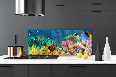 Panel Kuchenny Podwodny Świat Rafy