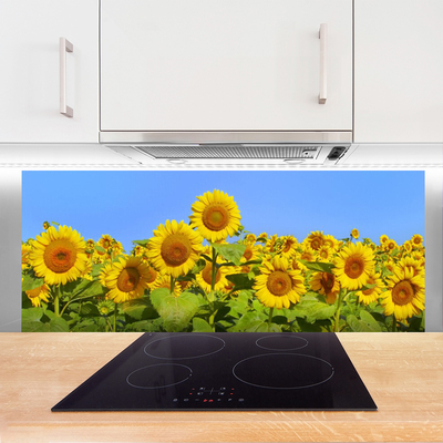 Panel Kuchenny Złocisty Słonecznik W Słońcu