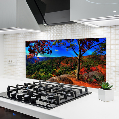 Panel Kuchenny Szczyty Gór W Gęstym Lesie