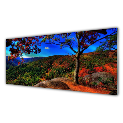 Panel Kuchenny Szczyty Gór W Gęstym Lesie