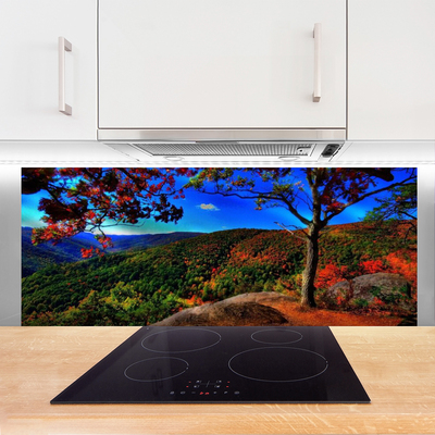 Panel Kuchenny Szczyty Gór W Gęstym Lesie