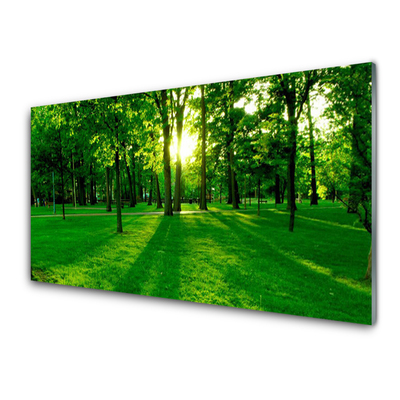 Szkło do Kuchni na Ścianę Parkowe Alejki W Słońcu