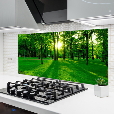 Szkło do Kuchni na Ścianę Parkowe Alejki W Słońcu