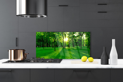 Szkło do Kuchni na Ścianę Parkowe Alejki W Słońcu