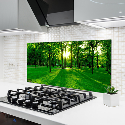 Szkło do Kuchni na Ścianę Parkowe Alejki W Słońcu