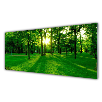 Szkło do Kuchni na Ścianę Parkowe Alejki W Słońcu