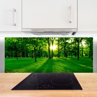 Szkło do Kuchni na Ścianę Parkowe Alejki W Słońcu