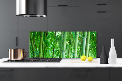 Szkło do Kuchni na Ścianę Zielony Pęd Bambusa