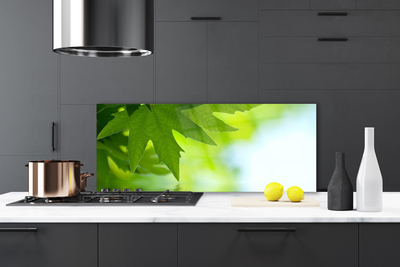 Szkło Dekoracyjne do Kuchni Soczyste Zielone Liście