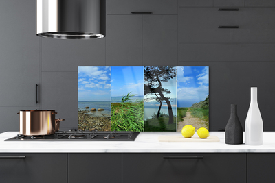 Szkło Dekoracyjne do Kuchni Samotne Drzewo Na Plaży