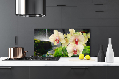 Panel Kuchenny Słońce Przebijające Przez Korony