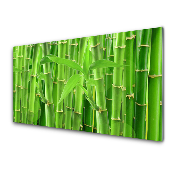 Panel Kuchenny Bambus Łodyga Kwiat Roślina