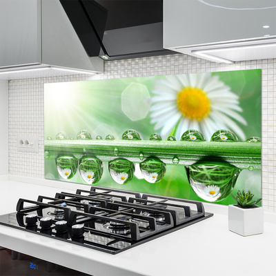 Szkło do Kuchni na Ścianę Rosa Na Stokrotkach