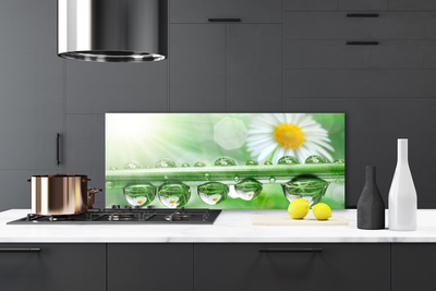 Szkło do Kuchni na Ścianę Rosa Na Stokrotkach