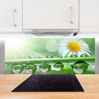 Szkło do Kuchni na Ścianę Rosa Na Stokrotkach