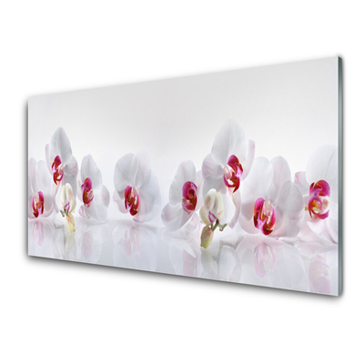 Panel Szklany do Kuchni Świeżość Kwiatów Polnych