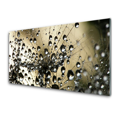 Szkło Dekoracyjne do Kuchni Lekkość Mniszka Lekarskiego