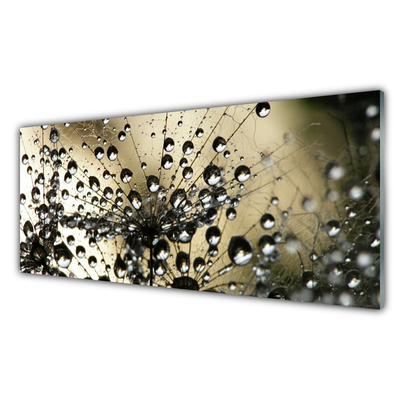 Szkło Dekoracyjne do Kuchni Lekkość Mniszka Lekarskiego