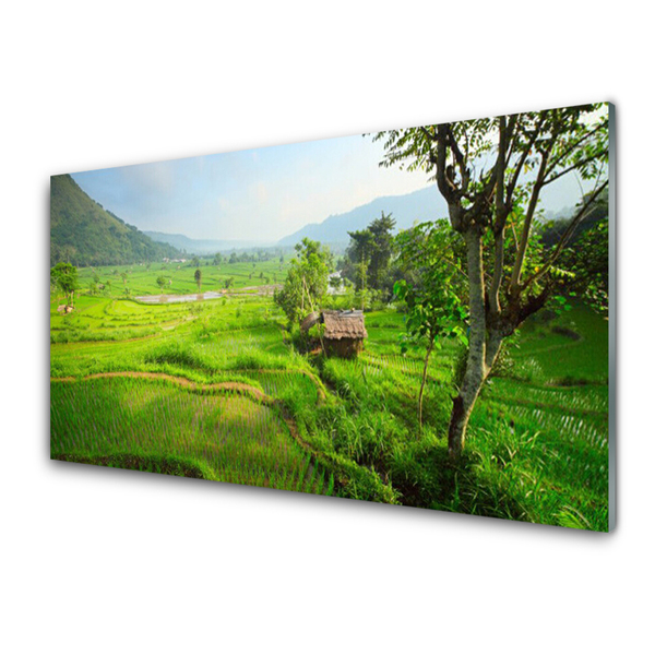 Szkło Dekoracyjne do Kuchni Sielska Zielona Łąka