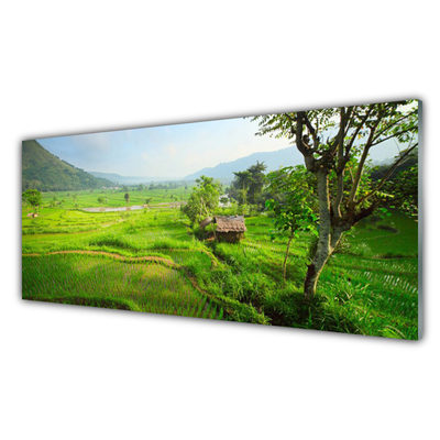 Szkło Dekoracyjne do Kuchni Sielska Zielona Łąka