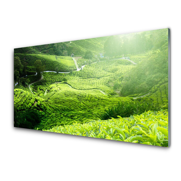 Panel Kuchenny Zieleń Naturalnej Łąki