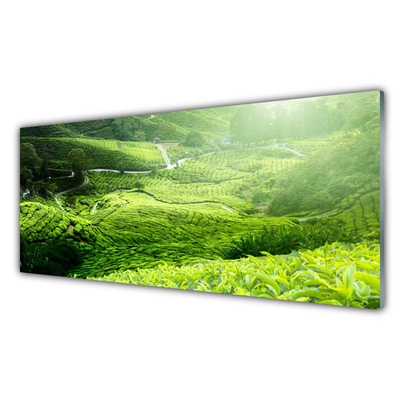 Panel Kuchenny Zieleń Naturalnej Łąki