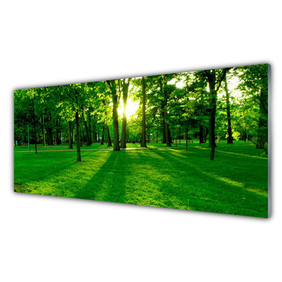 Panel Kuchenny Spokojna Aleja W Parku