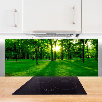 Panel Kuchenny Spokojna Aleja W Parku