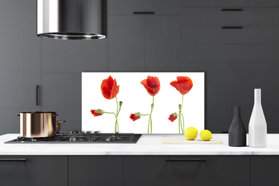 Szkło do Kuchni na Ścianę Czerwone Maki w Słońcu