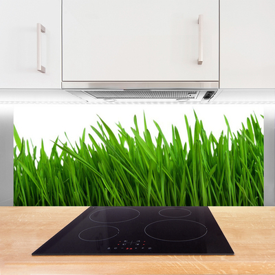 Panel Kuchenny Poranna Rosa na Trawie