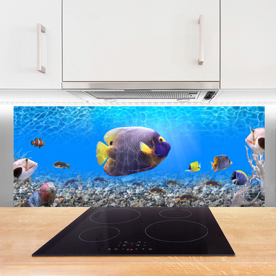 Panel Kuchenny Złota Rybka w Tonii