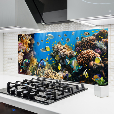 Szkło Ozdobne do Kuchni Barwne Życie Rafy Koralowej