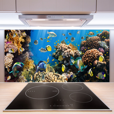 Szkło Ozdobne do Kuchni Barwne Życie Rafy Koralowej