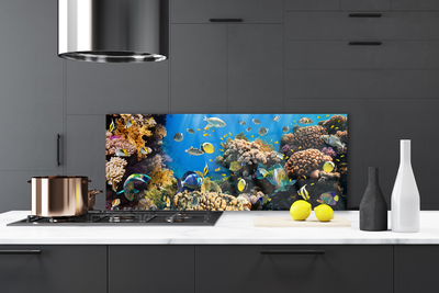 Szkło Ozdobne do Kuchni Barwne Życie Rafy Koralowej