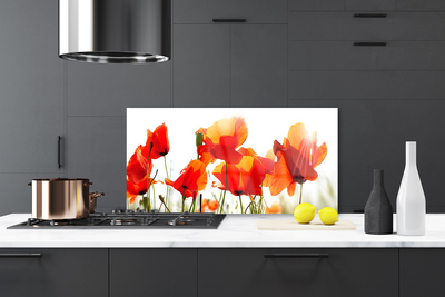 Szkło Ozdobne do Kuchni Krwistoczerwone Maki na Polu