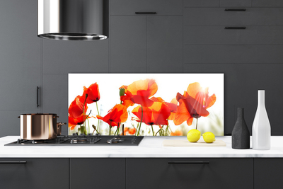 Szkło Ozdobne do Kuchni Krwistoczerwone Maki na Polu