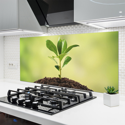 Szkło do Kuchni na Ścianę Narodziny Życia: Młody Pęd