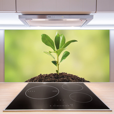 Szkło do Kuchni na Ścianę Narodziny Życia: Młody Pęd