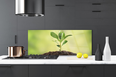 Szkło do Kuchni na Ścianę Narodziny Życia: Młody Pęd