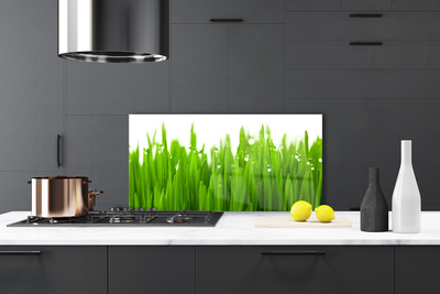 Panel Kuchenny Soczysta Zieleń Polany