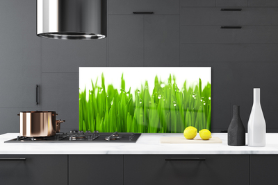 Panel Kuchenny Soczysta Zieleń Polany