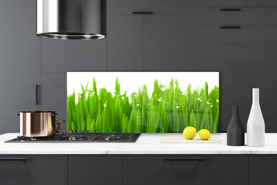 Panel Kuchenny Soczysta Zieleń Polany