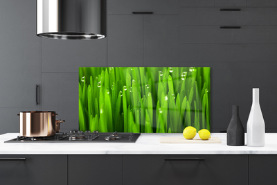 Panel Kuchenny Naturalne Źdźbła Trawy