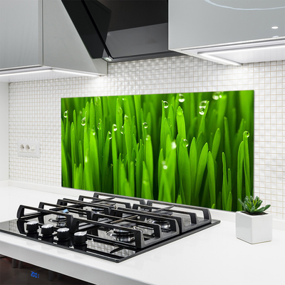 Panel Kuchenny Naturalne Źdźbła Trawy