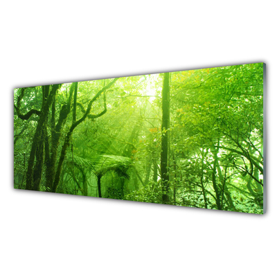Panel Kuchenny Las w Letnim Słońcu