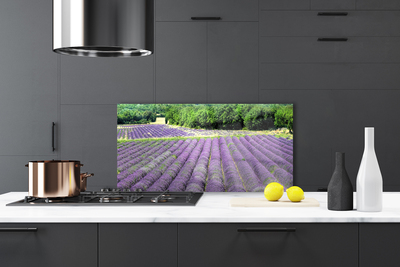 Szkło nad Blatem Kolorowa Łąka na Płótnie